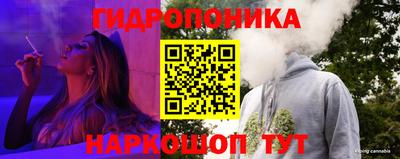 PSILOCYBIN Будённовск
