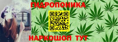 PSILOCYBIN Будённовск