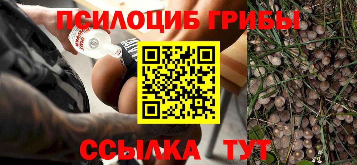 Псилоцибиновые грибы Magic Shrooms  Вход с VPN  Коммунар 