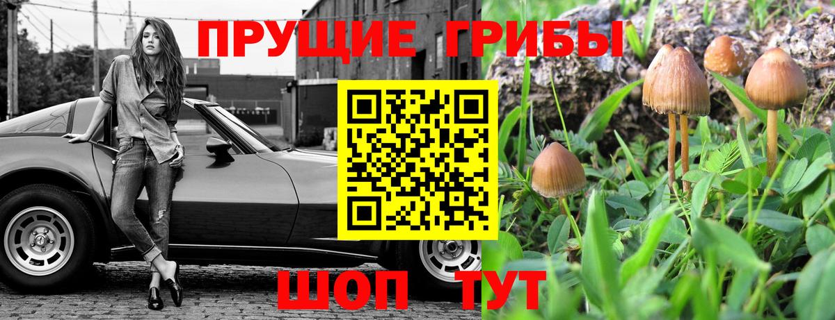 Галлюциногенные грибы MAGIC MUSHROOMS Коммунар